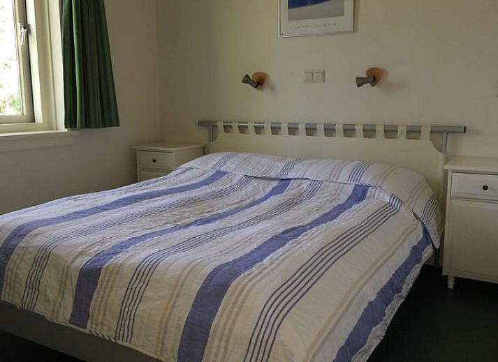 Eichhoernchen auf dem Baum beim Ferienhaus in Wateren, Westerveld, Suedwest-Drenthe, ideal fuer Tierliebhaber.