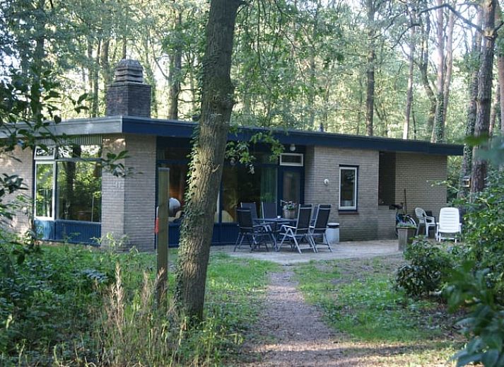 Aussenansicht Ferienhaus in Wateren, Westerveld mit Blick auf die gruene Umgebung von Suedwest-Drenthe.