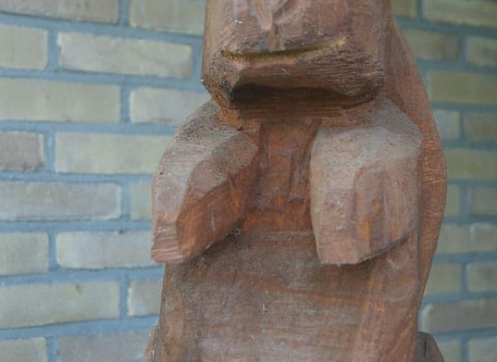 Aussenansicht Ferienhaus in Wateren, Westerveld mit Blick auf die gruene Umgebung von Suedwest-Drenthe.