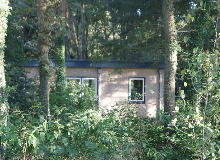 Gemuetliche Kueche in einem modern eingerichteten Ferienhaus in Wateren, Westerveld, im Suedwesten von Drenthe.