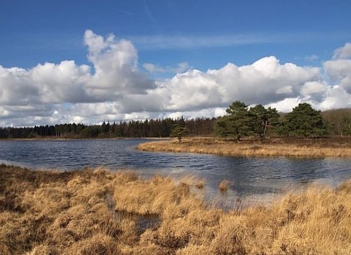 Gemuetliche Kueche in einem modern eingerichteten Ferienhaus in Wateren, Westerveld, im Suedwesten von Drenthe.
