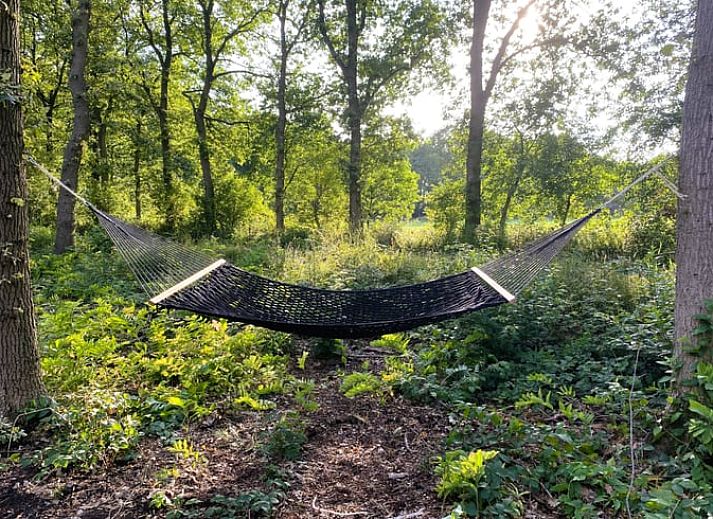 Unterkunft 201814 - Ferienhaus Zuidwest Drenthe - Vakantiehuisje in Wateren (Westerveld)