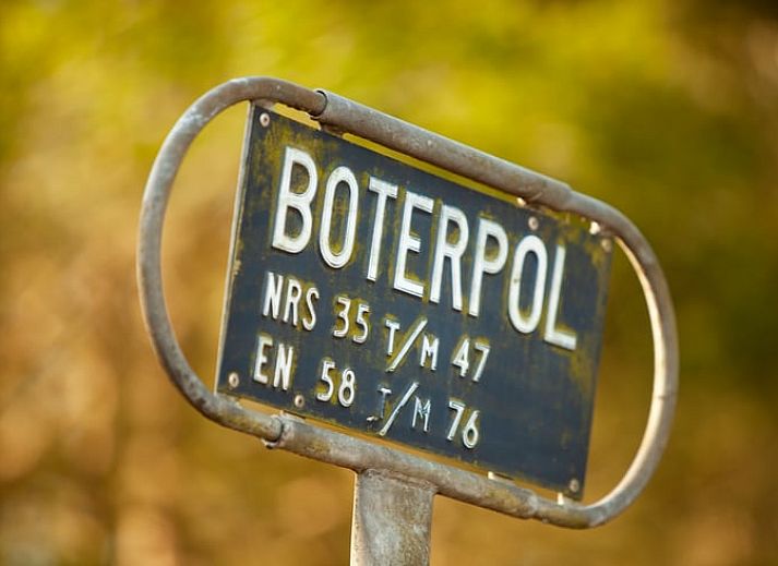 Modernes Wohnzimmer mit grossen Fenstern in Cottage in Wateren, Westerveld, Ferienhaus in Sued-West Drenthe.