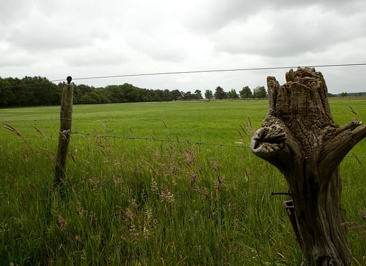 Modernes Wohnzimmer mit grossen Fenstern in Cottage in Wateren, Westerveld, Ferienhaus in Sued-West Drenthe.