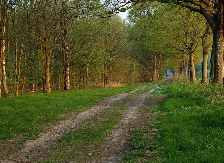 Stilvoller Innenraum im Ferienhaus in Wateren, Westerveld, Ferienhaus mit Blick auf die Natur im Suedwesten von Drenthe.
