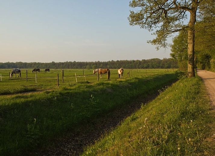Flur mit Spiegel im Ferienhaus in Wateren, Westerveld, Ferienhaus im waldreichen Suedwest-Drenthe.