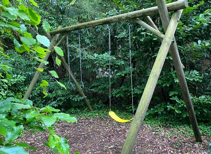 Das Eichhoernchen im Garten des Ferienhauses in Wateren, Suedwest-Drenthe, unterstreicht die reiche Natur, die die Unterkunft umgibt.