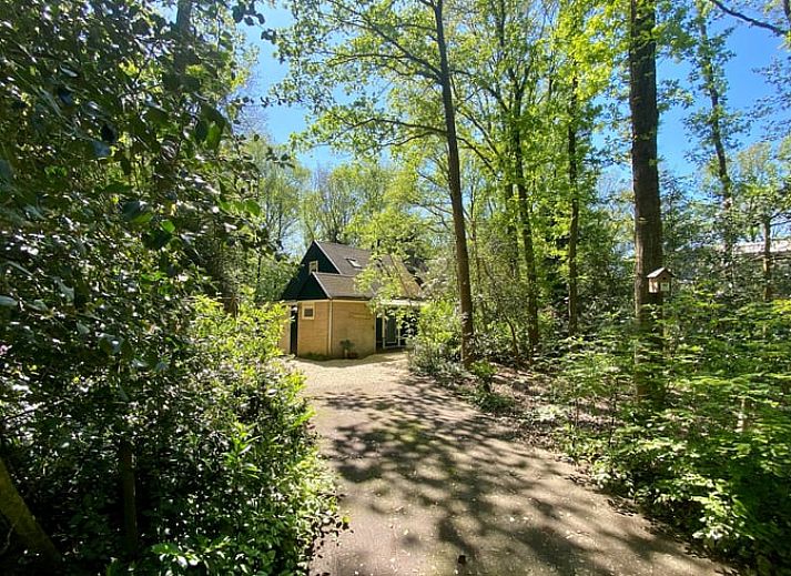 Das Eichhoernchen im Garten des Ferienhauses in Wateren, Suedwest-Drenthe, unterstreicht die reiche Natur, die die Unterkunft umgibt.