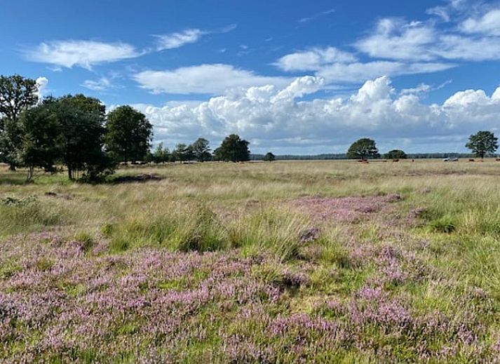 Stilvolles Esszimmer in einem Landhaus in Wateren, Suedwest-Drenthe, mit Blick auf die umliegende Landschaft.