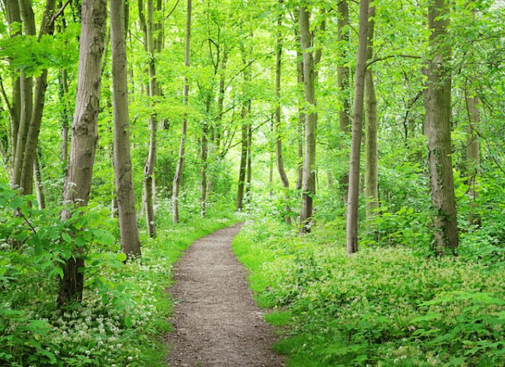 Stilvolles Esszimmer in einem Landhaus in Wateren, Suedwest-Drenthe, mit Blick auf die umliegende Landschaft.