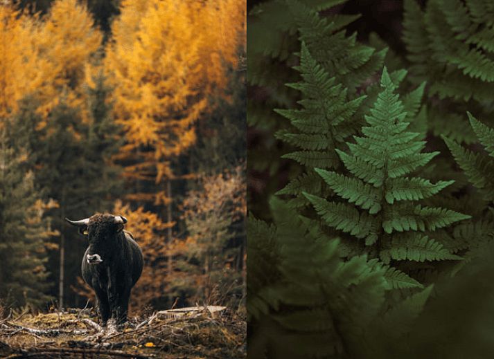 Stilvolles Esszimmer in einem Landhaus in Wateren, Suedwest-Drenthe, mit Blick auf die umliegende Landschaft.