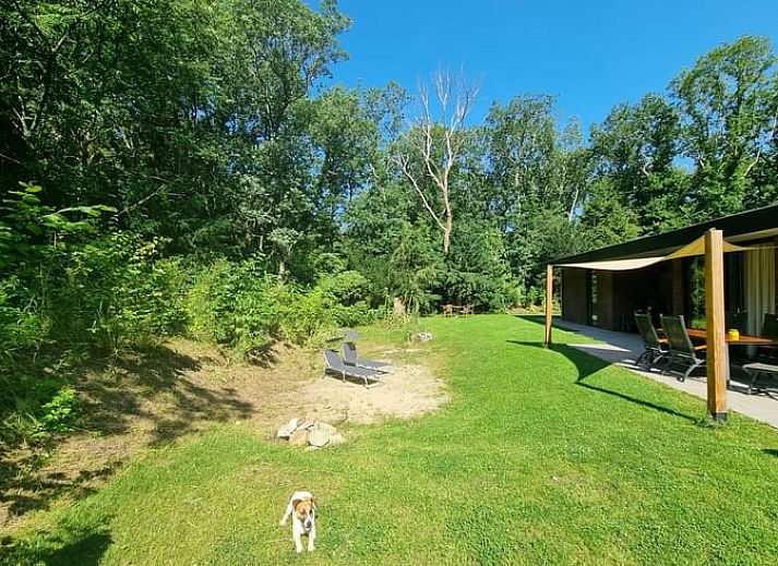 Unterkunft 201818 - Ferienhaus Zuidwest Drenthe - Vakantiehuis in Wateren (Westerveld)