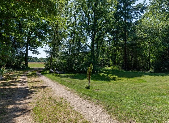 Unterkunft 201818 - Ferienhaus Zuidwest Drenthe - Vakantiehuis in Wateren (Westerveld)