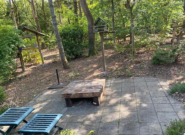 Gemuetliche Veranda im Ferienhaus in Wateren, Westerveld, Suedwest-Drenthe, umgeben von ueppiger Natur.