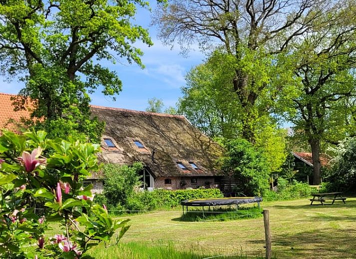 Verblijf 201820 - Vakantiewoning Zuidwest Drenthe - Vakantiehuis in Wateren (Westerveld)