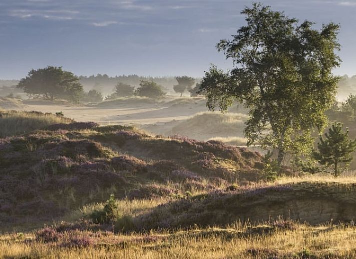 Verblijf 201820 - Vakantiewoning Zuidwest Drenthe - Vakantiehuis in Wateren (Westerveld)