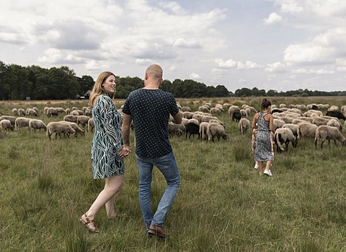 Verblijf 201820 - Vakantiewoning Zuidwest Drenthe - Vakantiehuis in Wateren (Westerveld)