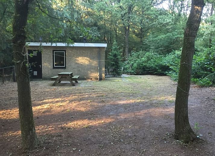 Ferienhaus in Wateren, Westerveld, in einem waldreichen Gebiet im Suedwesten von Drenthe.