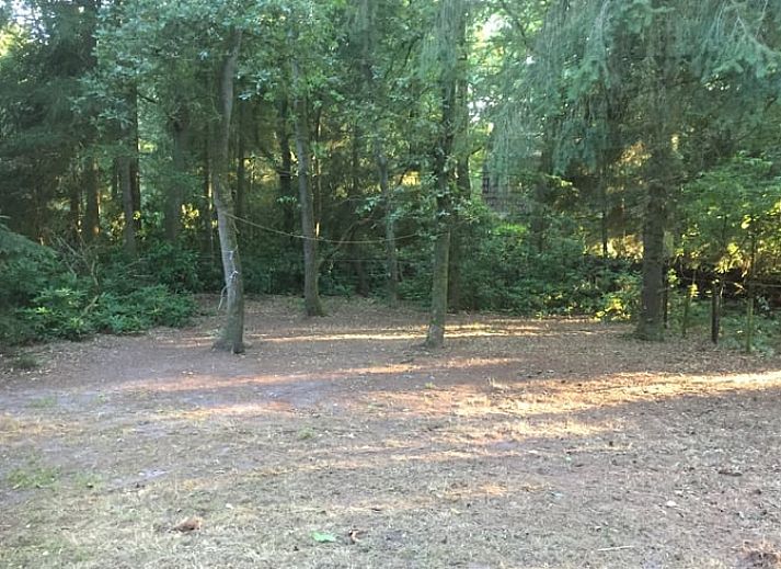 Schoener Seeblick in der Naehe des Ferienhauses in Wateren, Westerveld, Drenthe.