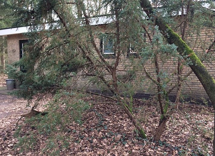 Schoener Seeblick in der Naehe des Ferienhauses in Wateren, Westerveld, Drenthe.