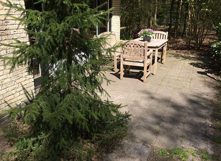 Sonnige Terrasse am Ferienhaus in Wateren, Westerveld, ideal fuer Entspannung in Drenthe.