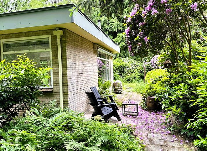 Gemuetliches Wohnzimmer mit Kamin im Ferienhaus in Wateren, Westerveld, Drenthe fuer einen gemuetlichen Urlaub.