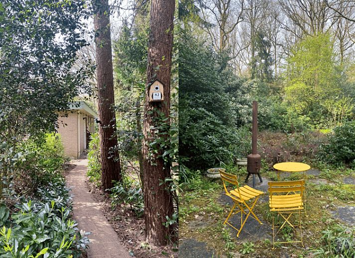 Aussenterrasse des Ferienhauses in Wateren, Westerveld, Drenthe, umgeben von ueppiger Natur.