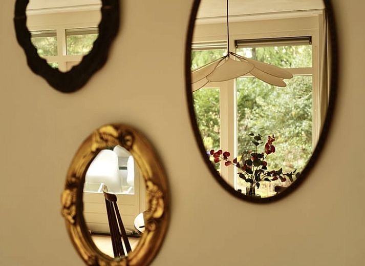 Aussenterrasse des Ferienhauses in Wateren, Westerveld, Drenthe, umgeben von ueppiger Natur.