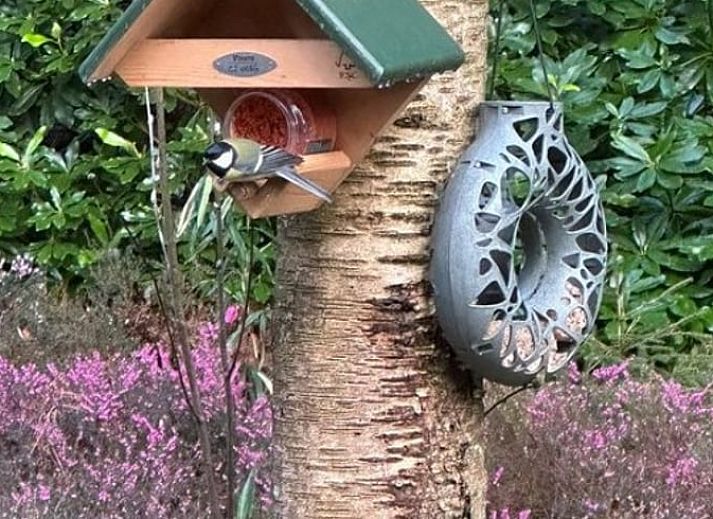 Atmosphaerische Details und Kamin im Cottage in Wateren, Westerveld, Drenthe fuer einen entspannenden Aufenthalt.