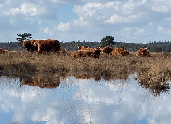 Esszimmer im Ferienhaus in Wateren, Westerveld, Drenthe mit Blick auf die gruene Umgebung.