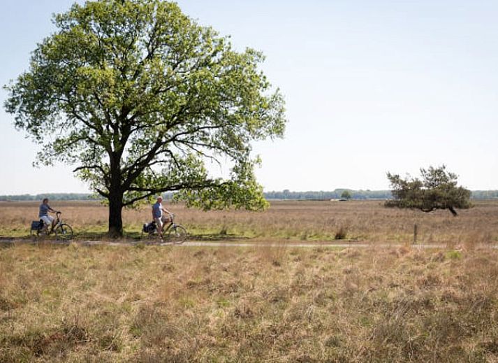 Esszimmer im Ferienhaus in Wateren, Westerveld, Drenthe mit Blick auf die gruene Umgebung.