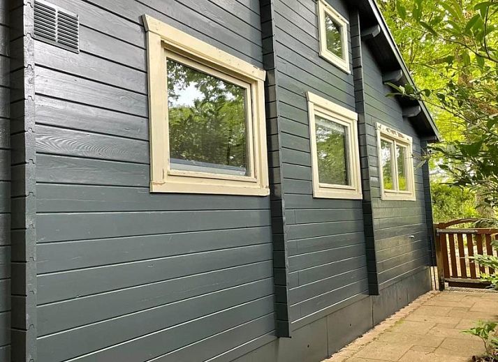 Modern living room of Cottage 54 in Wateren, Drenthe, with comfortable sofas and plenty of natural light.
