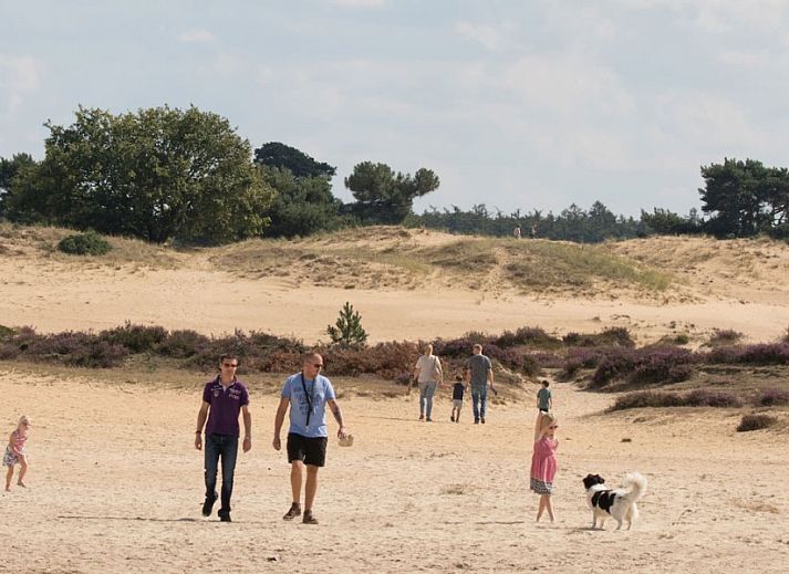 Stylish interior of Cottage 54 in Wateren, Drenthe, with a cozy sitting area and flat-screen TV.