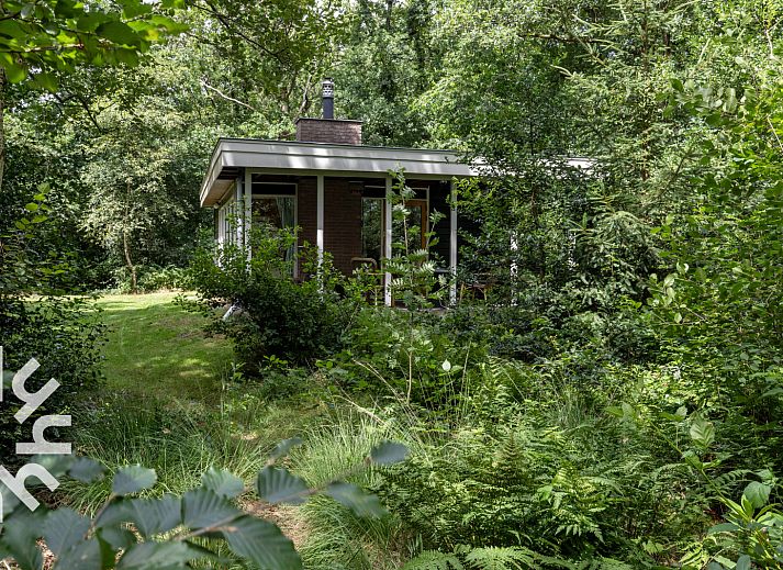 Unterkunft 201841 - Ferienhaus Zuidwest Drenthe - DG1748