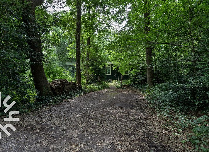 Unterkunft 201841 - Ferienhaus Zuidwest Drenthe - DG1748