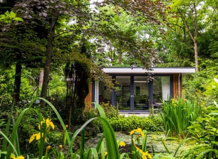 Ontdek Bosbungalow Eekhoorn in Wateren, Zuidwest Drenthe, een vakantiehuis omgeven door weelderige natuur en rustgevende groene omgeving.