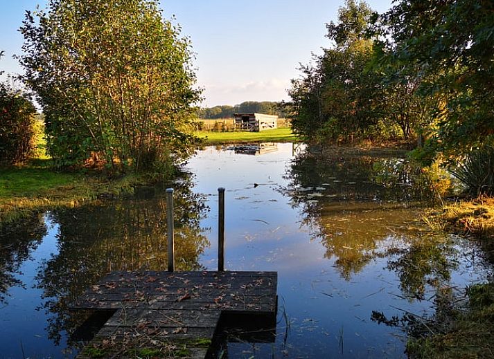 Enjoy the tranquility on the terrace of Holiday cottage in Wittelte, Southwest Drenthe. Perfect place to relax in nature.