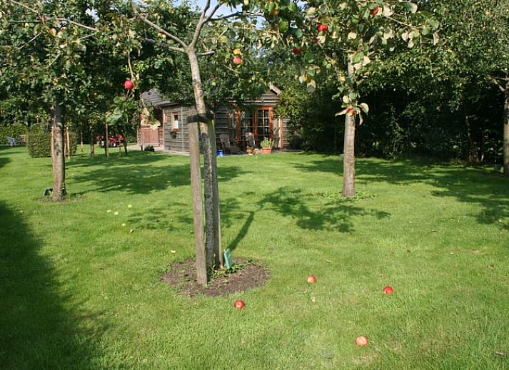 Cozy living room in Holiday cottage in Wittelte, Southwest Drenthe. Comfortable sitting area overlooking the garden.