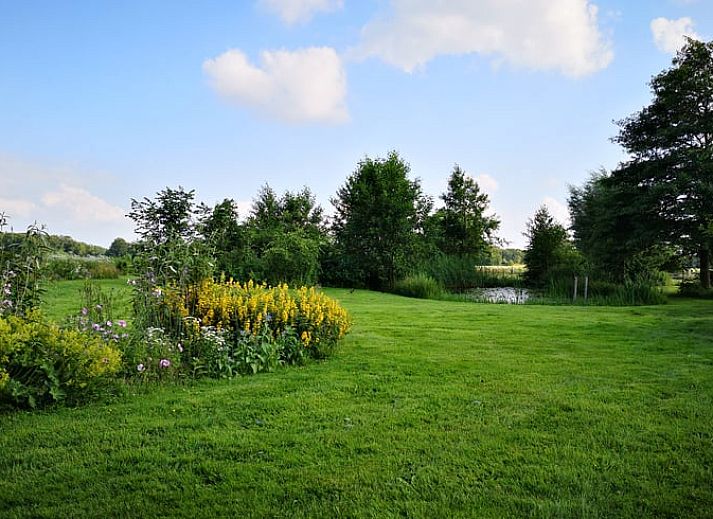 Ontspan op het terras van Vakantiehuis in Wittelte, Zuidwest Drenthe, omgeven door groen en rust.