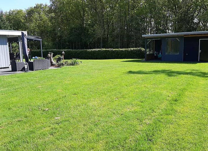 Veranda of Holiday Home in Wittelte, Southwest Drenthe, with beautiful views of the garden.