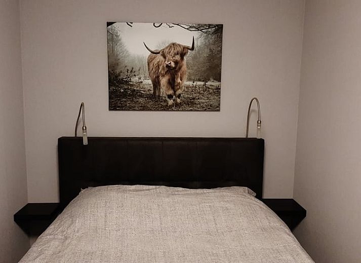 Atmospherically lit patio in Holiday Home in Wittelte, Southwest Drenthe, for evening meals outside.