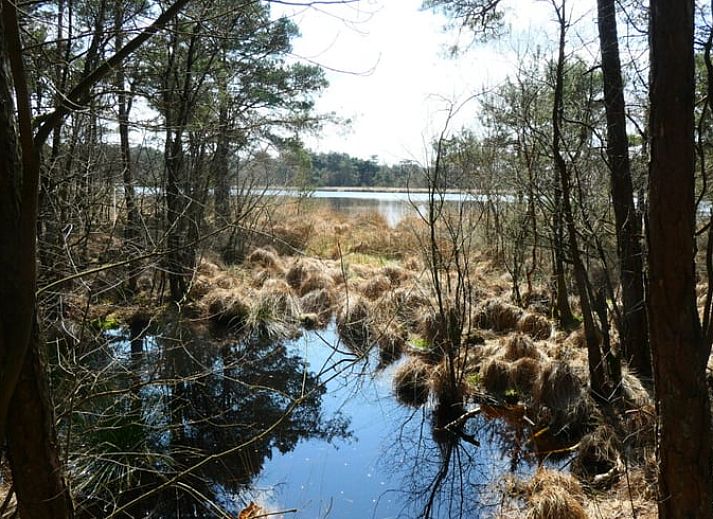 Ruhiger Garten mit Aussicht im Ferienhaus in Wittelte, Suedwest-Drenthe, ideal zum Entspannen.