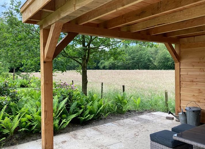 Ferienhaus in Wittelte, umgeben von gruener Natur, ideal fuer Ruhesuchende im Suedwesten von Drenthe.