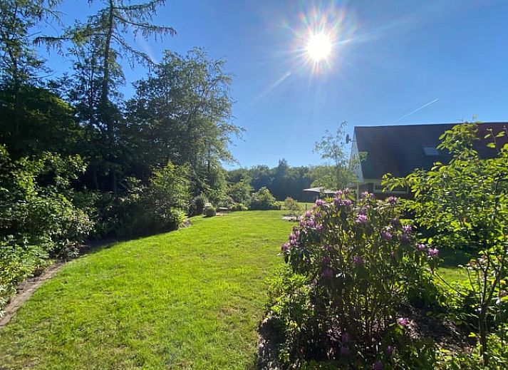 Charmantes Ferienhaus in Wittelte mit sonniger Terrasse, ideal fuer einen entspannten Aufenthalt in Drenthe.