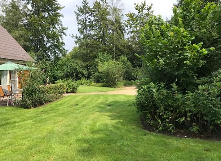 Charmantes Ferienhaus in Wittelte mit sonniger Terrasse, ideal fuer einen entspannten Aufenthalt in Drenthe.