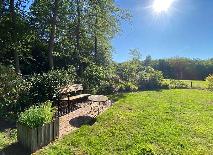 Charmantes Ferienhaus in Wittelte mit sonniger Terrasse, ideal fuer einen entspannten Aufenthalt in Drenthe.