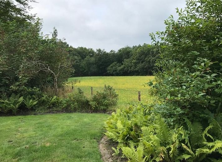 Ueberdachte Terrasse am Ferienhaus in Wittelte, mit Blick auf die ueppige Natur in Drenthe.