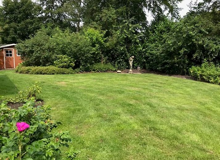 Ueberdachte Terrasse am Ferienhaus in Wittelte, mit Blick auf die ueppige Natur in Drenthe.