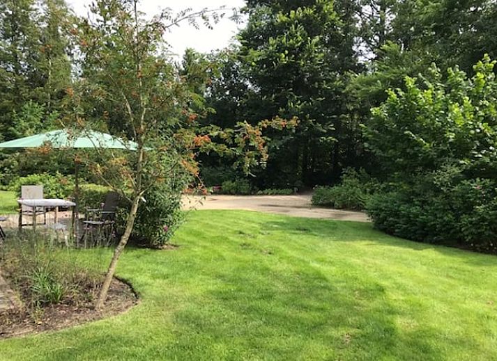 Ueberdachte Terrasse am Ferienhaus in Wittelte, mit Blick auf die ueppige Natur in Drenthe.