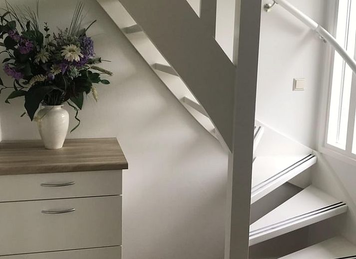 Ferienhaus in Wittelte, umgeben von bluehender Natur, einem ruhigen Ort im Suedwesten von Drenthe.